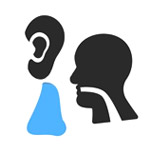 Ear Nose Throat ENT Surgery