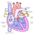 heart treatment in india