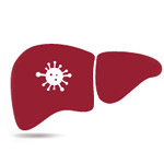 Hepatitis Treatment