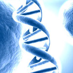 Stem Cell Treatments